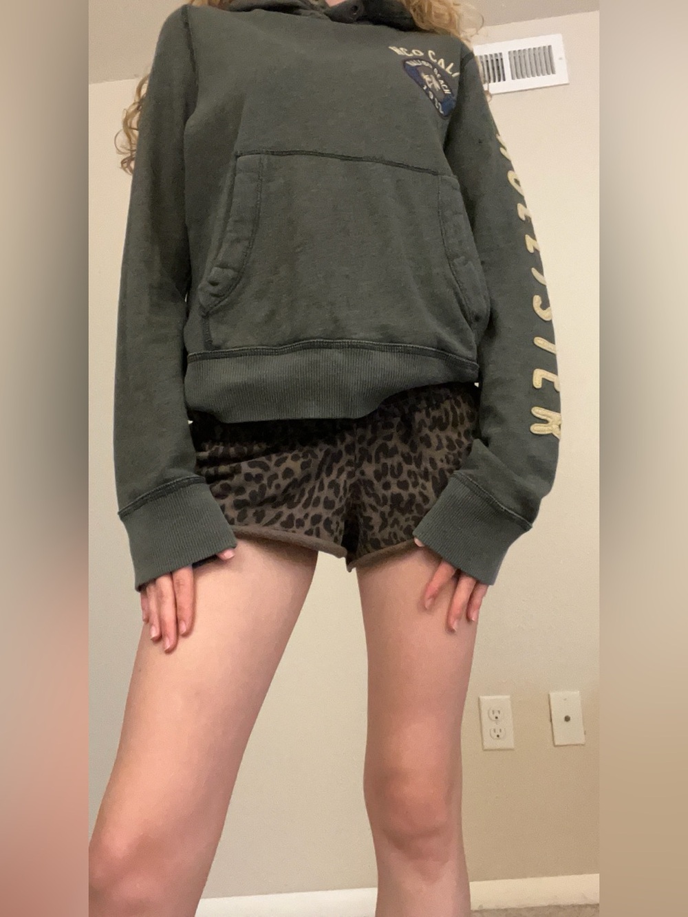 vintage Hollister hoodie Malibu Beach 1922 size small